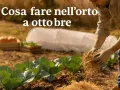 Giardiniere prepara il terreno per cosa piantare a ottobre. Cavoli e zucche in vista, con tunnel protettivo sullo sfondo.