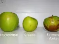 Tre mele verdi: convenzionale, biologica e dal mercato contadino. Chissà come si chiamano le mele verdi più belle!