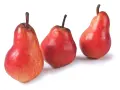 Tre pere rosse, varietà invernali, con picciolo scuro su sfondo bianco.