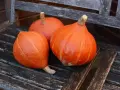 Tre zucche Hokkaido arancioni, con la loro buccia liscia e striata, riposano su una panca di legno consumato dal tempo.
