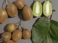 Frutti di kiwi interi e tagliati, con una foglia verde. La coltivazione kiwi è un processo affascinante.