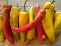 Varietà di peperoni bue, alcuni rossi e altri gialli, disposti su un tagliere di legno. Attenzione, i peperoni bue sono piccanti!