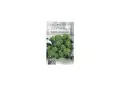 Confezione di semi di Cima di Rapa Riccia di Sarno. Ideale per il periodo di raccolta autunnale.