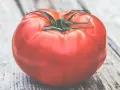 Un pomodoro rosso brillante, quasi gigante, riposa su un tavolo di legno grezzo.