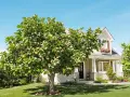 Un rigoglioso albero di fico carico di frutti maturi si erge nel giardino di una casa accogliente, sotto un cielo azzurro e limpido.