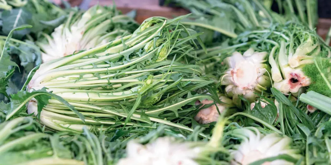 Un mucchio di puntarelle fresche, pronte per essere gustate. La puntarelle stagione è un'esplosione di sapore e croccantezza.