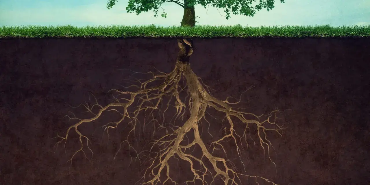 Radici di alberi che si estendono in profondità nel terreno, mostrando la forza nascosta della natura.