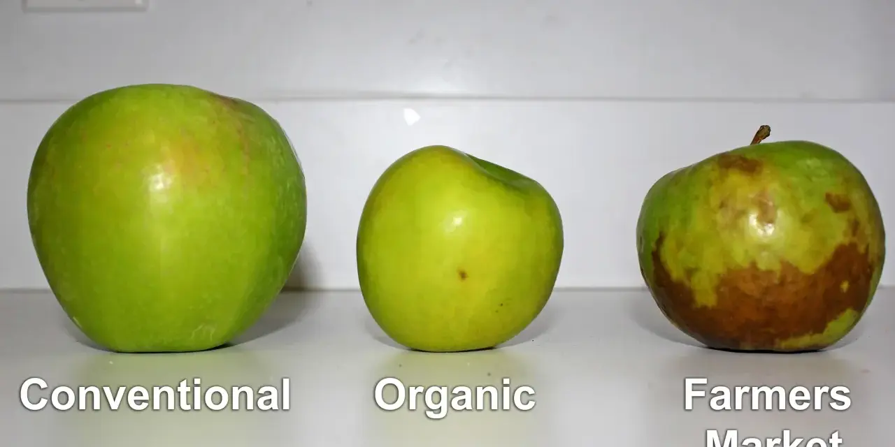 Tre mele verdi: convenzionale, biologica e dal mercato contadino. Chissà come si chiamano le mele verdi più belle!