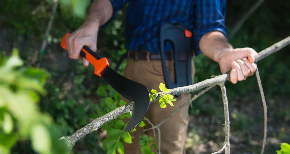 Uomo con attrezzatura per potare, impugna un falcetto affilato per tagliare un ramo verde.