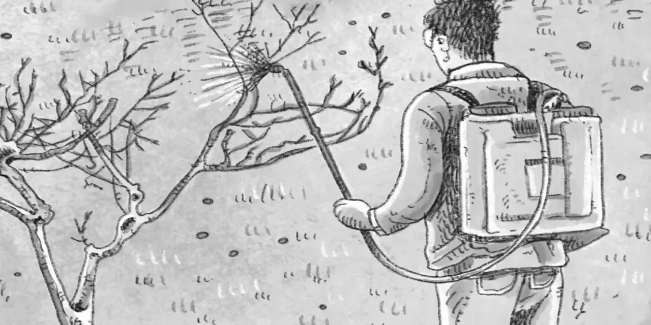 Uomo con zaino irroratore tratta un albero spoglio. Segue il calendario trattamenti carpocapsa per proteggere la coltura.