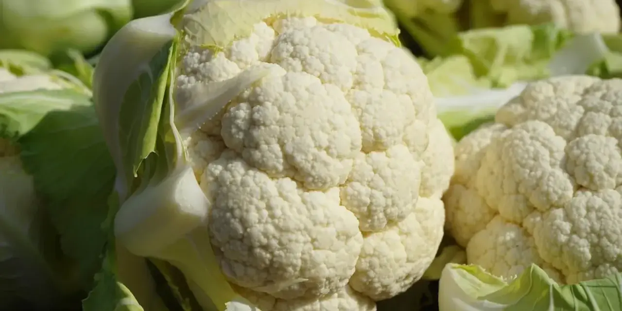 Un primo piano di un cavolfiore bianco e fresco, con le sue cimette dettagliate e le foglie verdi che lo circondano.