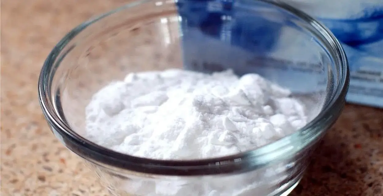 Mal bianco? Il bicarbonato è un rimedio naturale versatile. Ecco una ciotola piena di polvere bianca, pronta per ogni uso.
