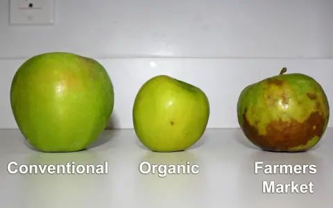 Tre mele verdi: convenzionale, biologica e dal mercato contadino. Chissà come si chiamano le mele verdi più belle!