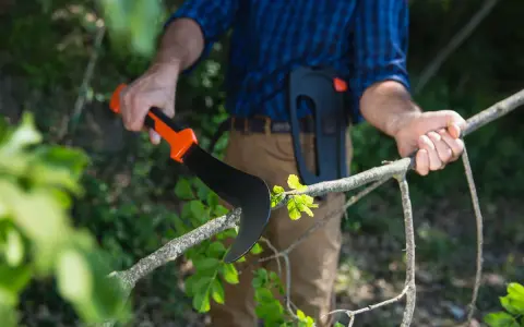 Uomo con attrezzatura per potare, impugna un falcetto affilato per tagliare un ramo verde.