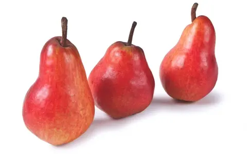 Tre pere rosse, varietà invernali, con picciolo scuro su sfondo bianco.