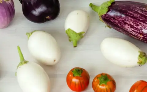 Una varietà di melanzane: lunghe e viola scuro, bianche ovali, striate viola e bianche, e piccole tonde arancioni.