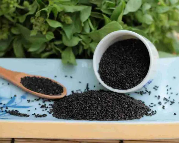 Semi di basilico, pronti per essere piantati. Un cucchiaio di legno e una tazzina traboccante mostrano questi piccoli semi neri, con piante verdi sullo sfondo.