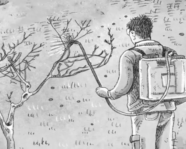 Uomo con zaino irroratore tratta un albero spoglio. Segue il calendario trattamenti carpocapsa per proteggere la coltura.