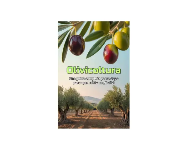 Un uliveto al tramonto, con olive mature sui rami. La copertina di "Olivicoltura" offre una guida completa per preparare la buca per piantare olivo.