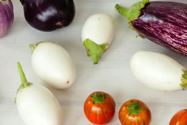 Una varietà di melanzane: lunghe e viola scuro, bianche ovali, striate viola e bianche, e piccole tonde arancioni.