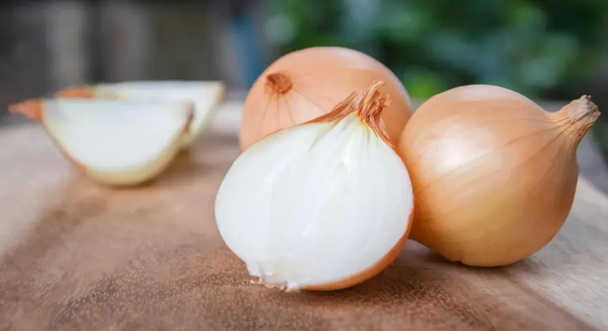 Cipolle dorate pronte per la semina. Una è tagliata a metà, rivelando la sua polpa bianca e succosa.