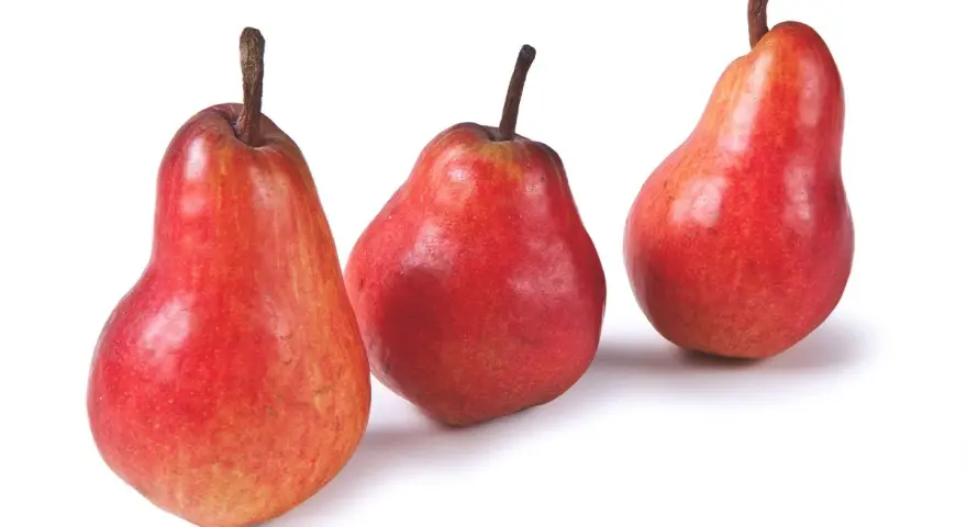 Tre pere rosse, varietà invernali, con picciolo scuro su sfondo bianco.