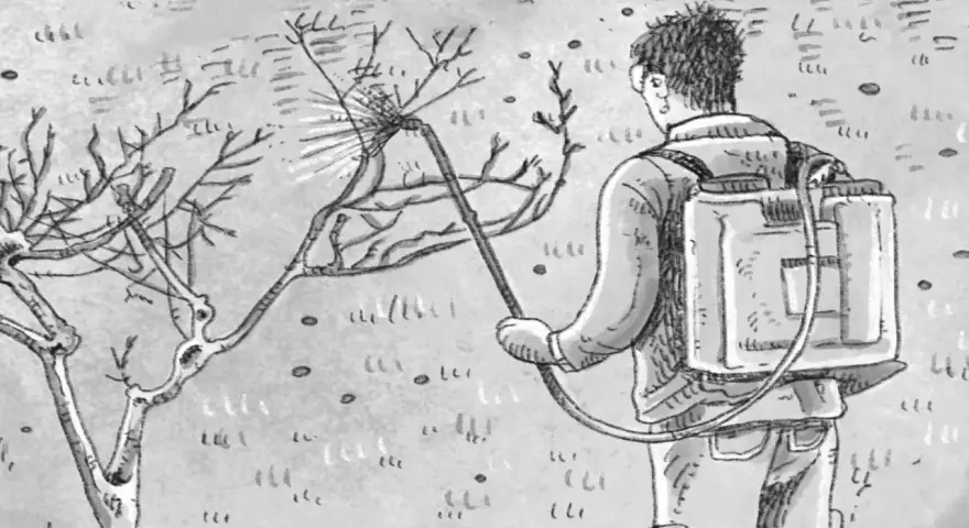 Uomo con zaino irroratore tratta un albero spoglio. Segue il calendario trattamenti carpocapsa per proteggere la coltura.