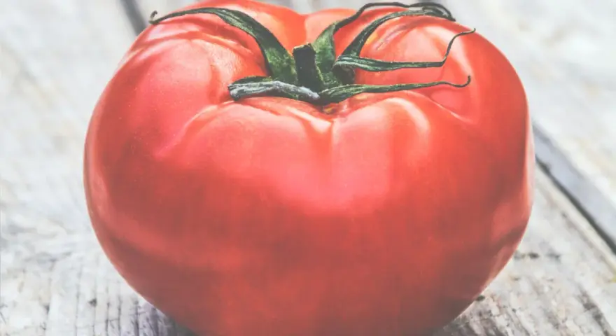 Un pomodoro rosso brillante, quasi gigante, riposa su un tavolo di legno grezzo.