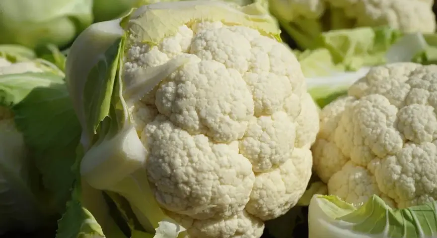 Un primo piano di un cavolfiore bianco e fresco, con le sue cimette dettagliate e le foglie verdi che lo circondano.