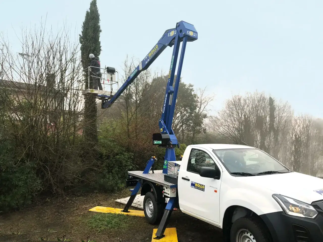 Un operaio in cestello lavora per potare alberi alti, con un camion gru blu e bianco sullo sfondo.