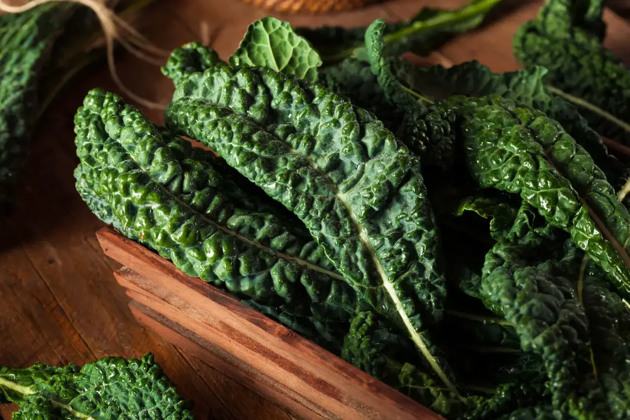 Cavolo nero fresco e rugoso in una cassetta di legno. Ideale per sapere quando piantare il cavolo nero e gustarlo in autunno.
