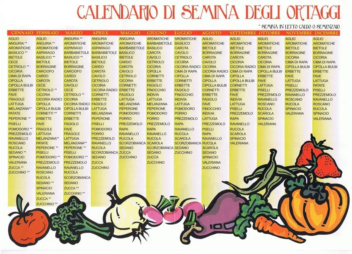 Calendario ortaggi: quando si piantano i cavolfiori e altre verdure, con illustrazioni colorate.