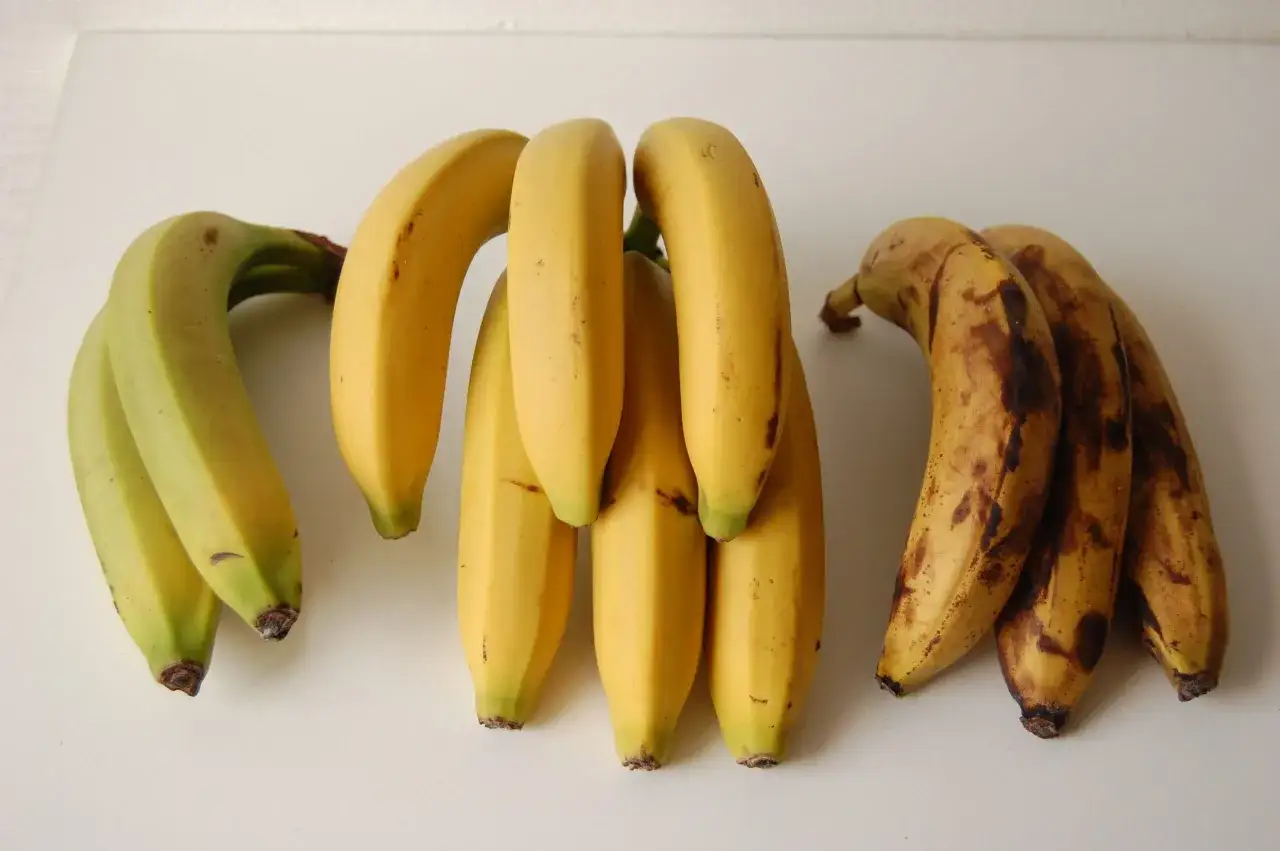 Tre grappoli di banane: verdi, gialle e mature, con macchie marroni. Le mele fanno maturare la frutta, accelerando questo processo.