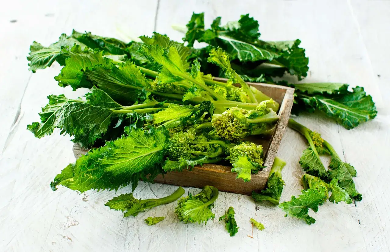 Un cesto di friarielli freschi, pronti per essere cucinati. Il loro periodo migliore &egrave; l'inverno.