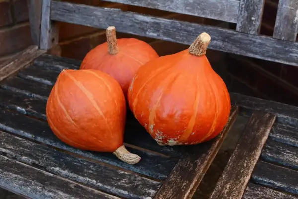 Tre zucche Hokkaido arancioni, con la loro buccia liscia e striata, riposano su una panca di legno consumato dal tempo.